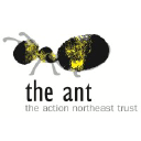 theant.org