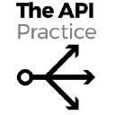 theapipractice.com
