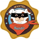The Bandana Bandits