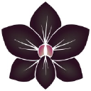 TC  Avatar