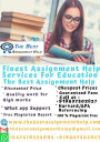 The Best Assignment Help