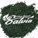 The Best Salvia