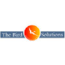 thebirdsolutions.com