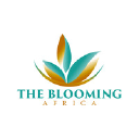 thebloomingafrica.org