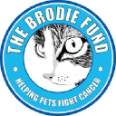 thebrodiefund.org