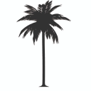 thecoconut-tree.com