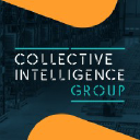 thecollectiveintelligencegroup.com