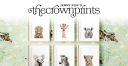 Logo for thecrownprints.com