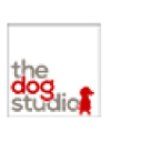 The Dog Studio