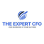The Expert CFO logo