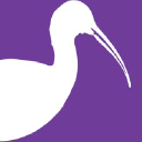 The Ibis Network