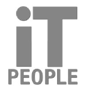 theitpeople.com
