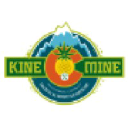 thekinemine.com