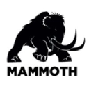 THE MAMMOTH INC logo