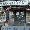 MEAN EYED CAT LIMITED