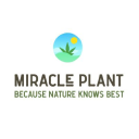 Themiracleplant