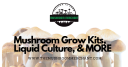 Mushroom Merchant