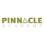Pinnacle Academy logo