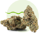 The Plug Napa - Weed Dispensary Logo
