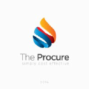 theprocure.com