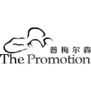 thepromotion.com.cn