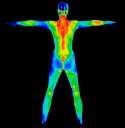 Thermography of Miami