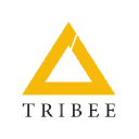 thetribee.com