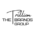 thetrillionbrandsgroup.co.uk