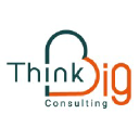 thinkbig-consulting.com