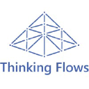 thinkingflows.com