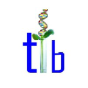 thomasbiotech.com