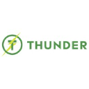 thunder-electric.com