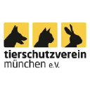 tierheim-muenchen.com