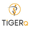 tigerq.com