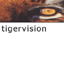 tigervision.com