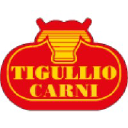 tigulliocarnisrl.com