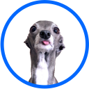 Logo for tikatheiggy.com