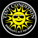 tintcondition.com