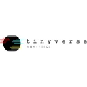 tinyverse-analytics.com