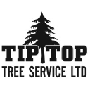 tiptoptreesltd.com