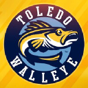 toledowalleye.com