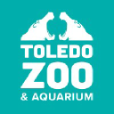 the toledo zoo