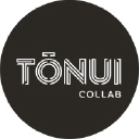 tonuicollab.com