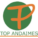 topandaimes.com.br