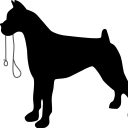 Top Dogs pet services