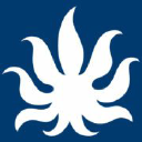 Torches NYC Dispensary Logo