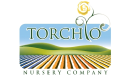 torchionursery.com