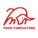 toro-consulting.com