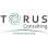 Torus Consulting logo
