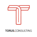 torus.consulting